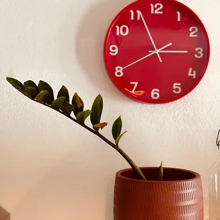 Casa Do Lambril * Tinalhas