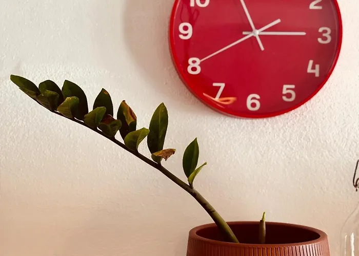 Casa Do Lambril * Tinalhas