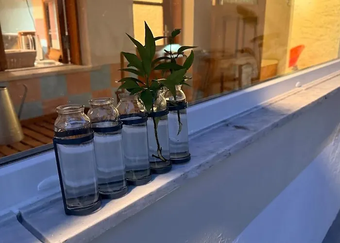 Dom wakacyjny Casa Do Lambril Tinalhas